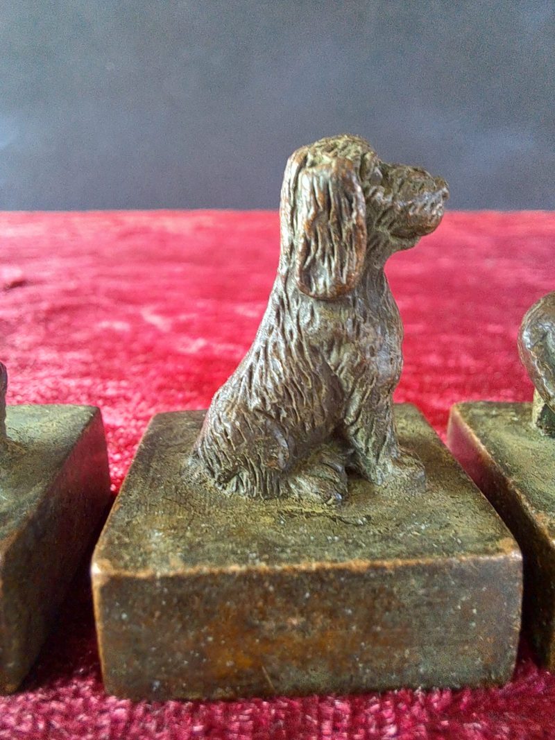 tear of the dog bronze