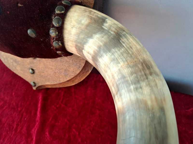 antique horn pattern