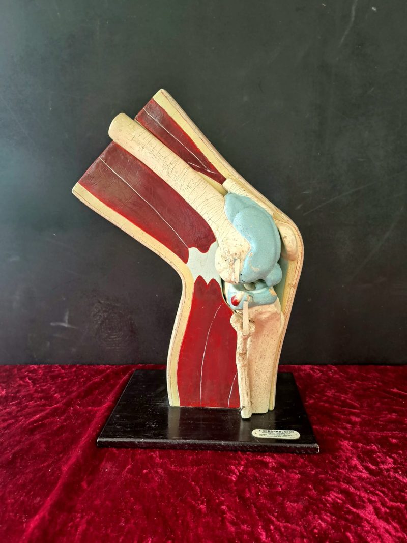 t gerrard vintage medical aid knee (1)