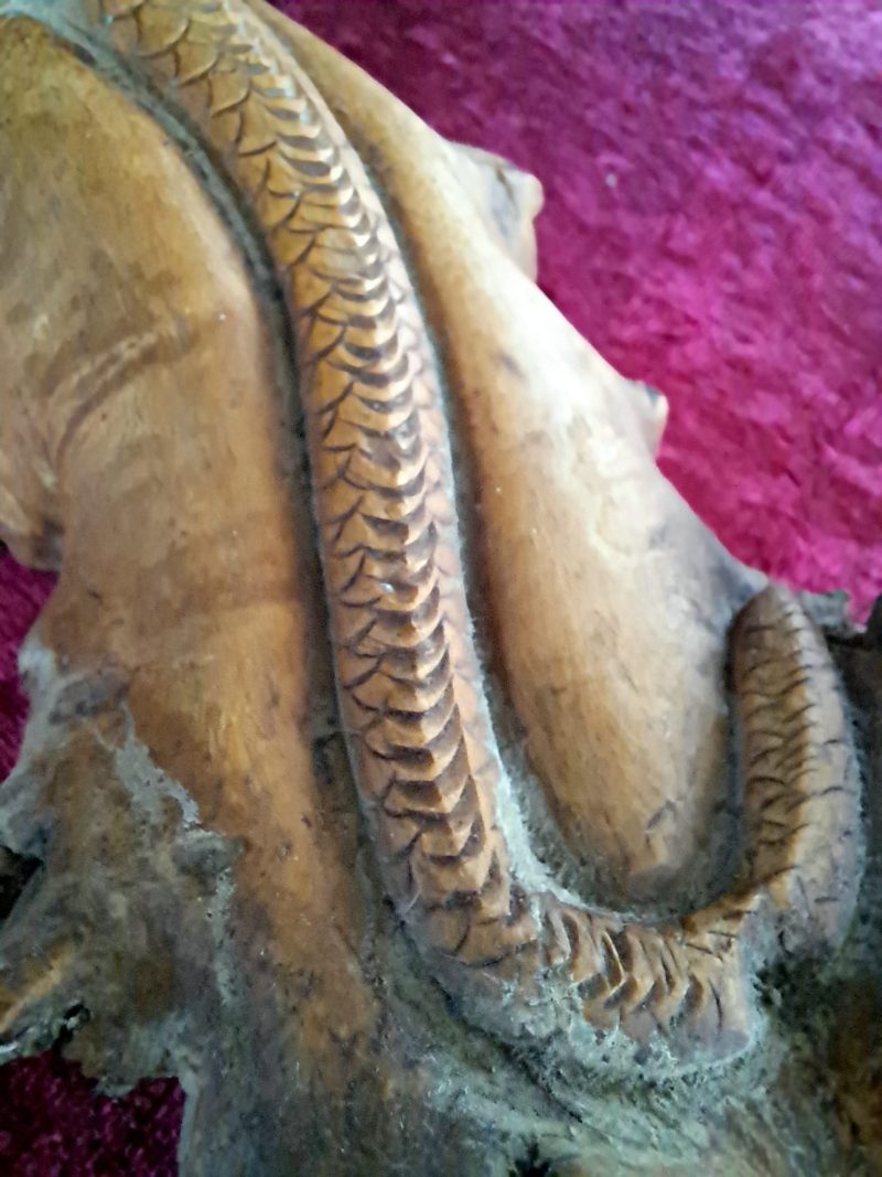 hand carved wooden lizard (17)