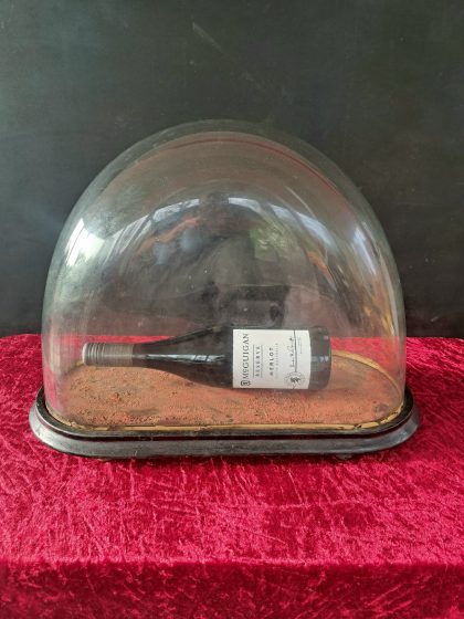 victorian taxidermy glass dome case (5)