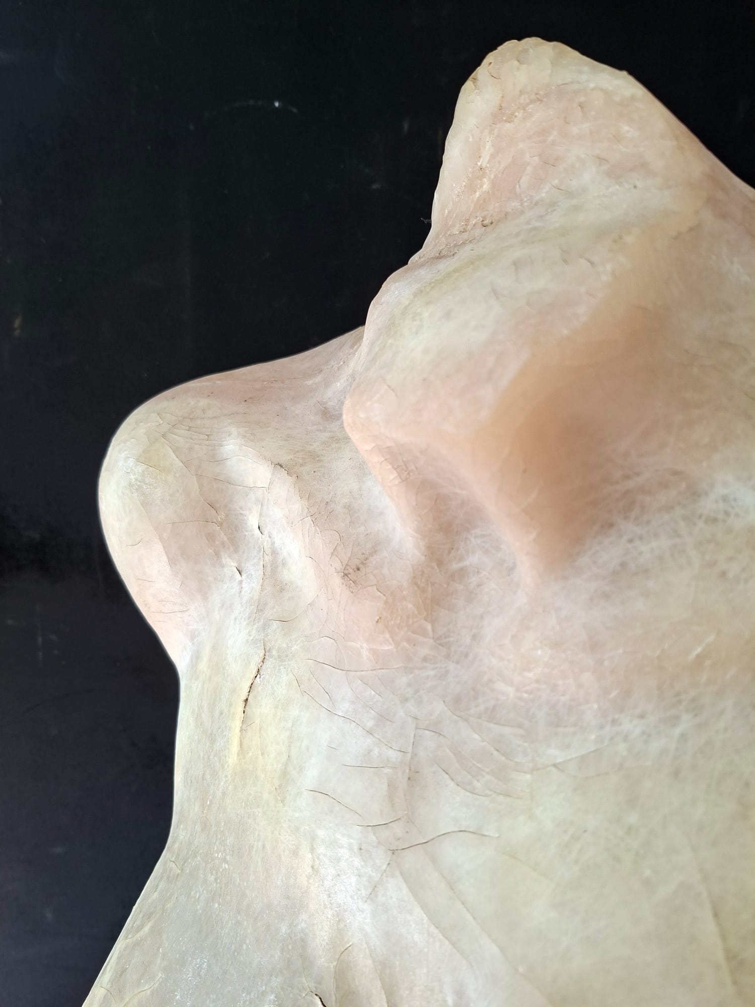 female torso artist made fibre glass study (1)
