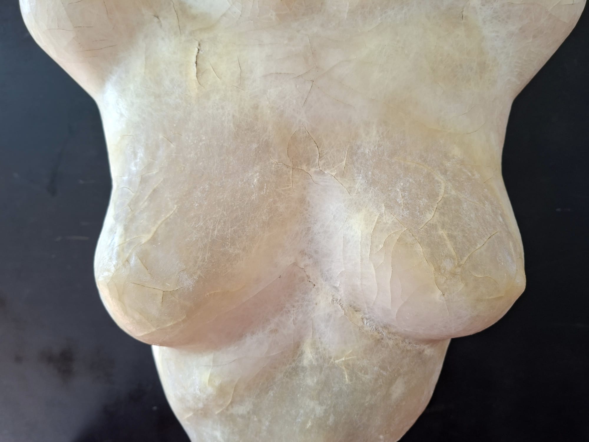 female torso artist made fibre glass study (4)