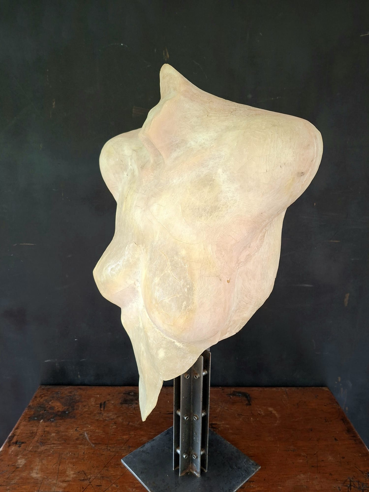 female torso sculpture (1)