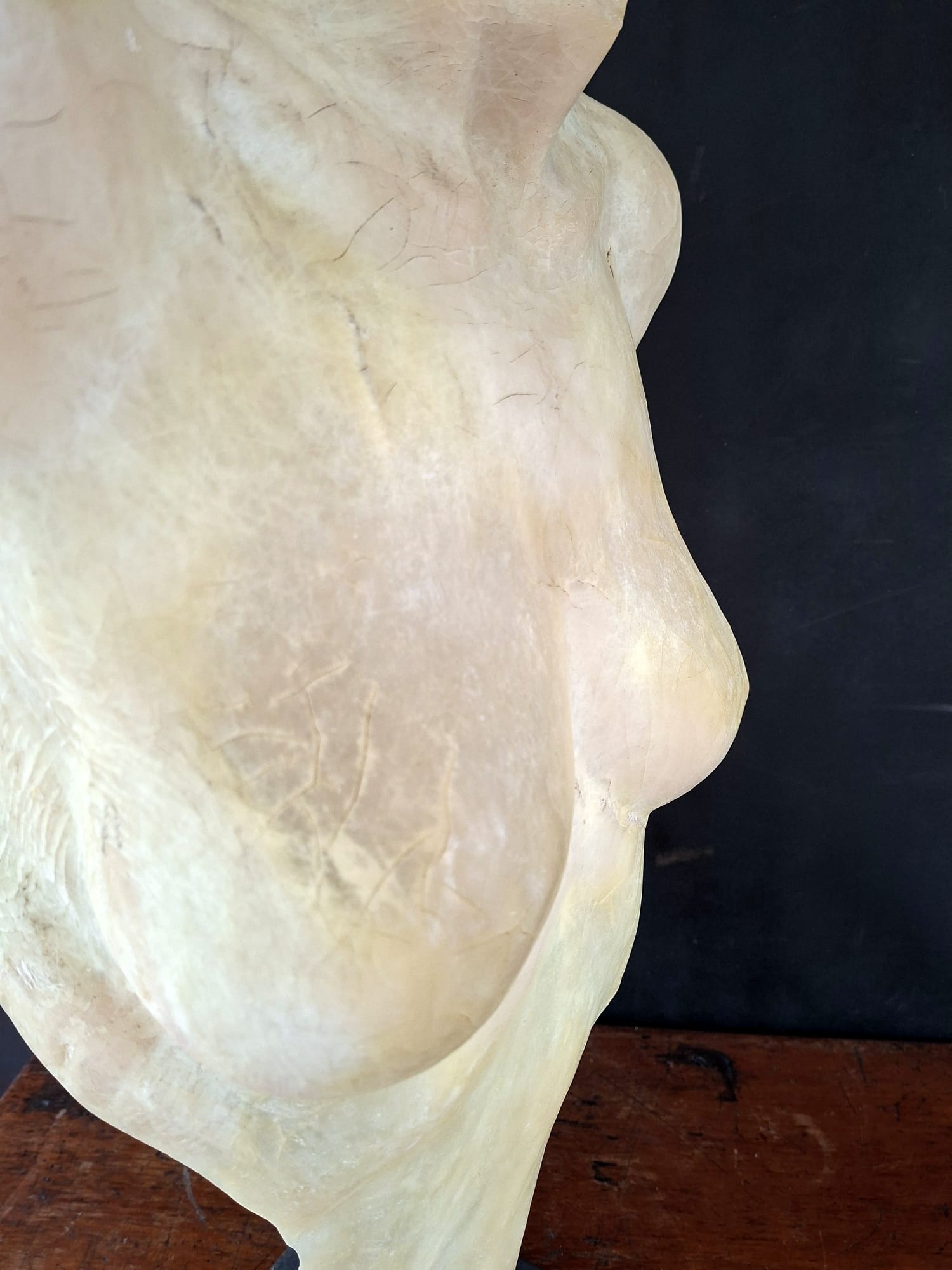 female torso sculpture (14)