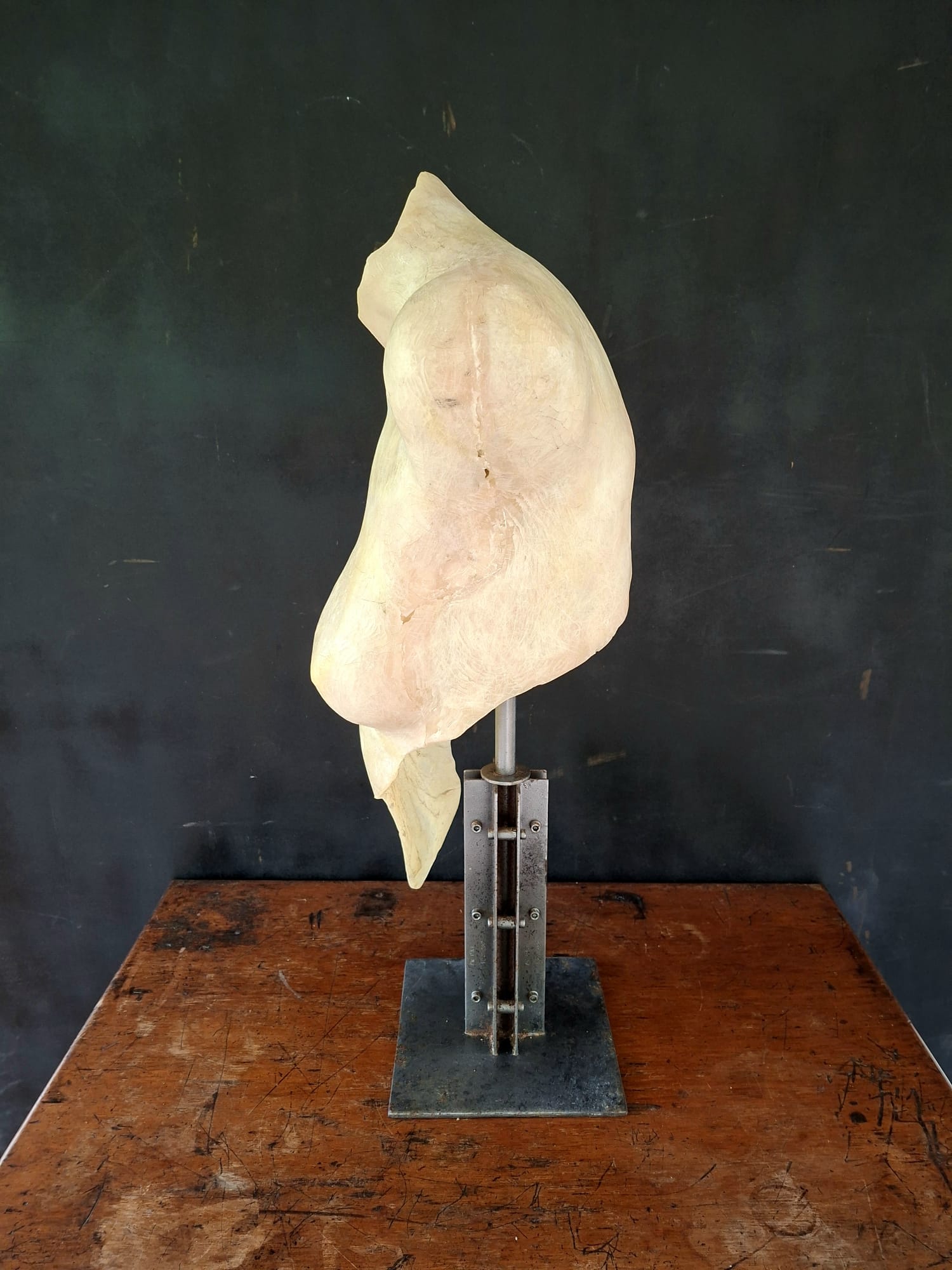female torso sculpture (16)