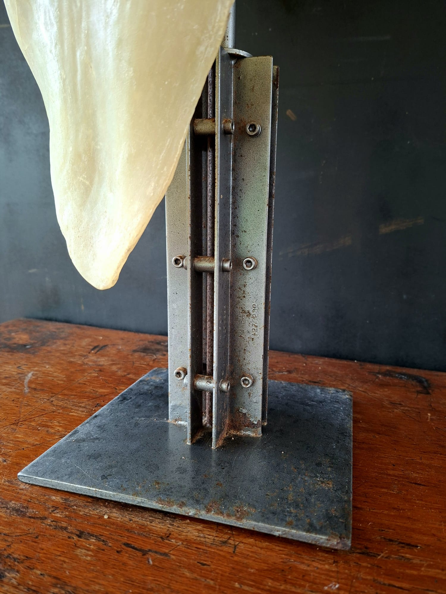 female torso sculpture (2)