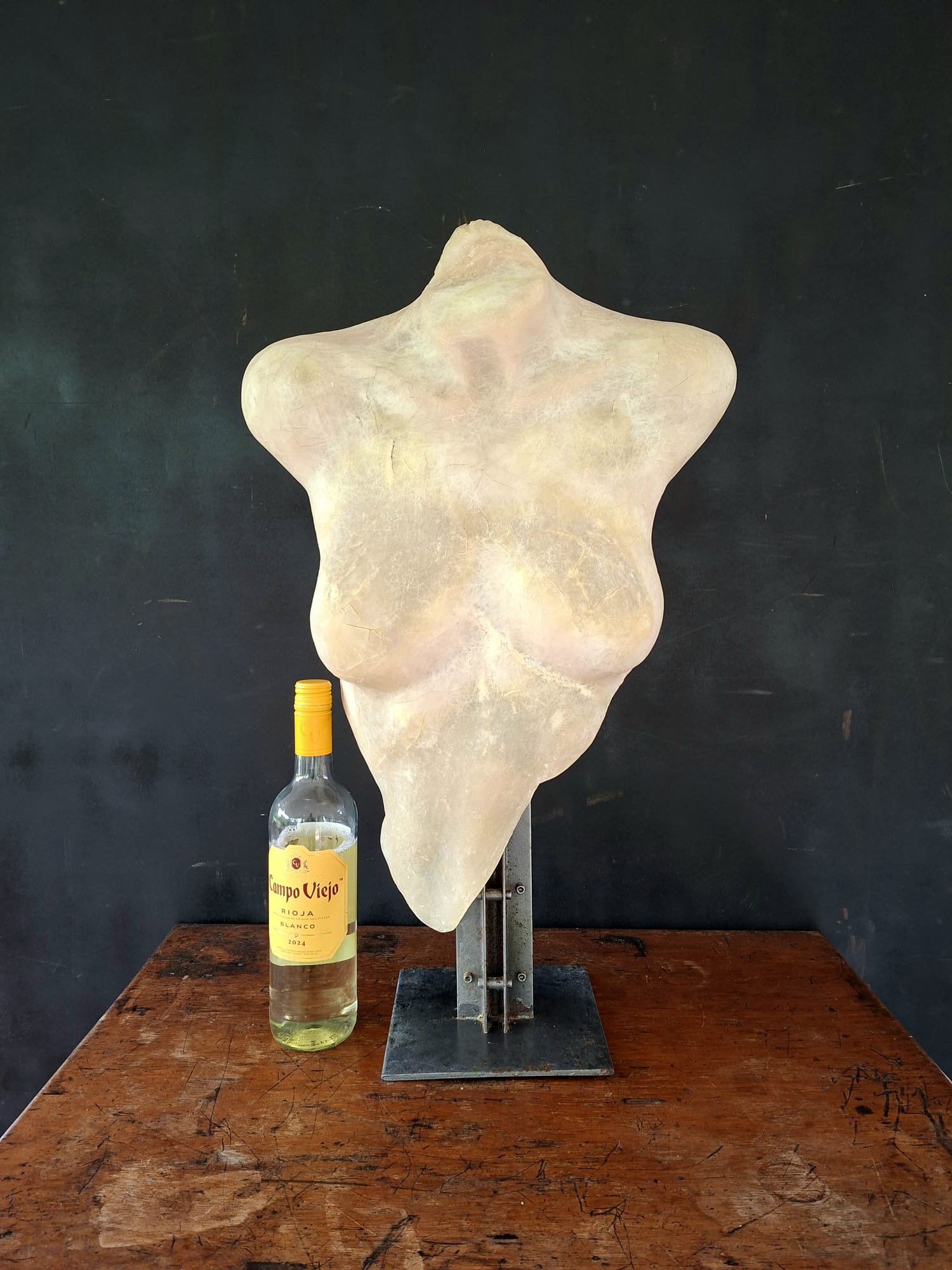 female torso sculpture (4)