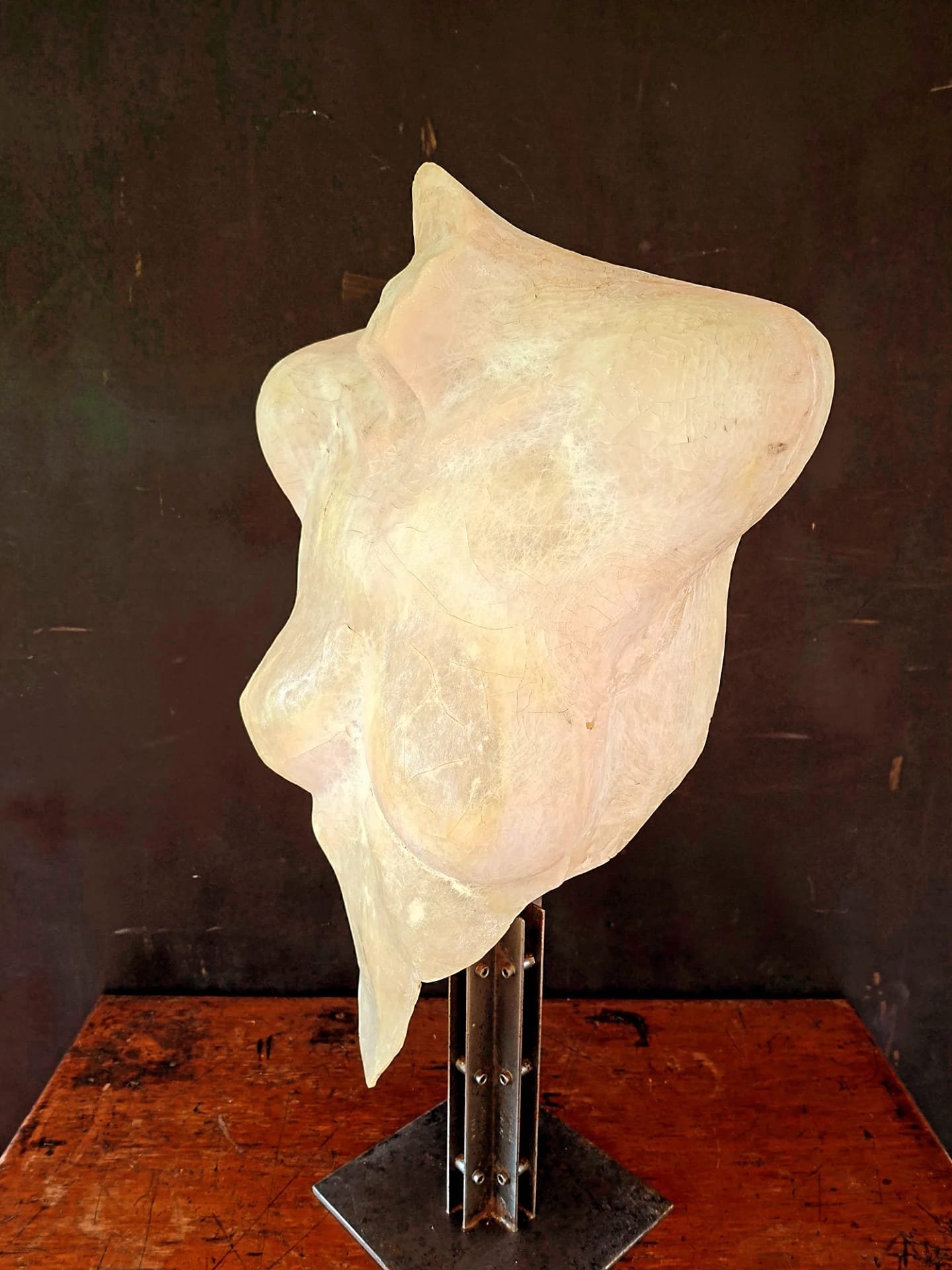 female torso sculpture (6)