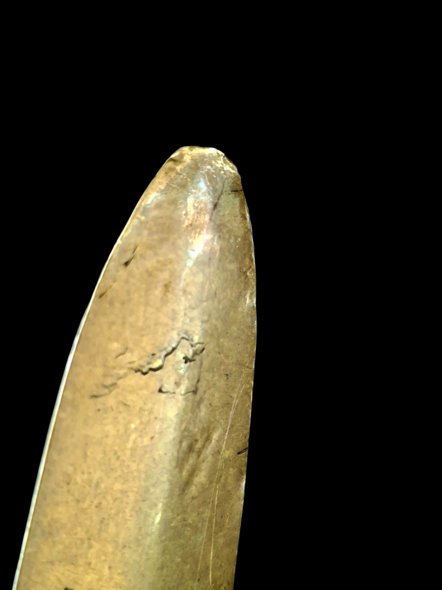 very large antique 1883 letter opener (3)