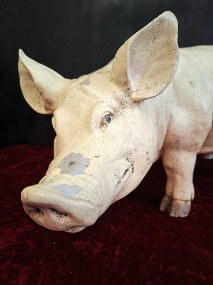 vintage butcher's shop pig (5)