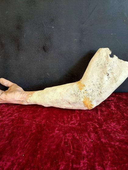 Lifesize realistic human prop arm (9)