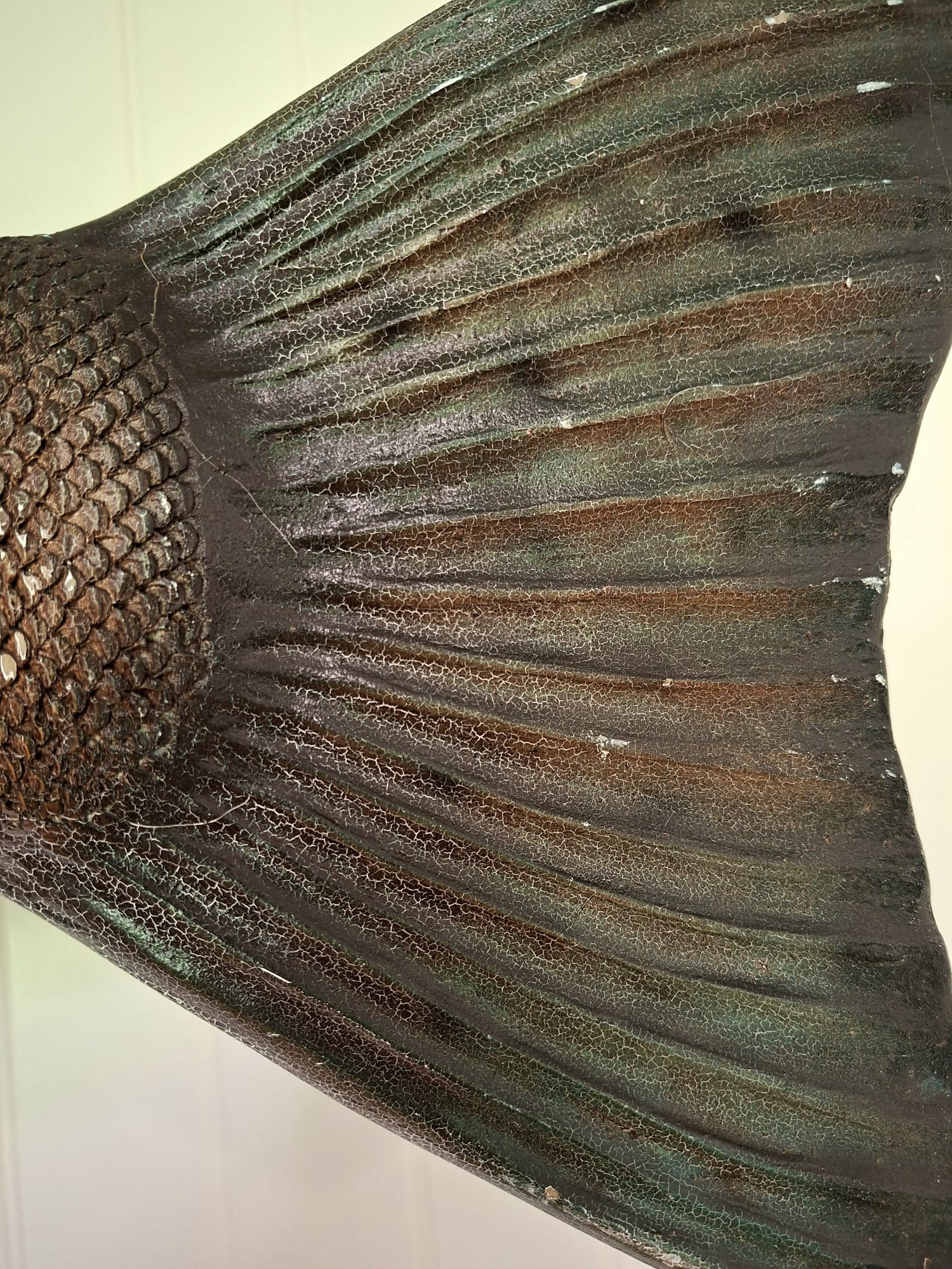 large shop advertising Salmon (5)