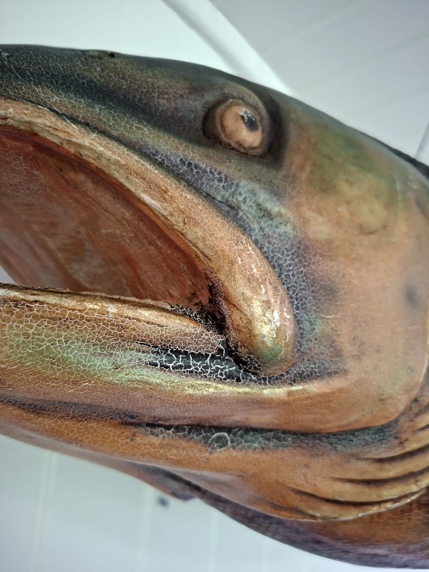 large shop advertising Salmon (7)