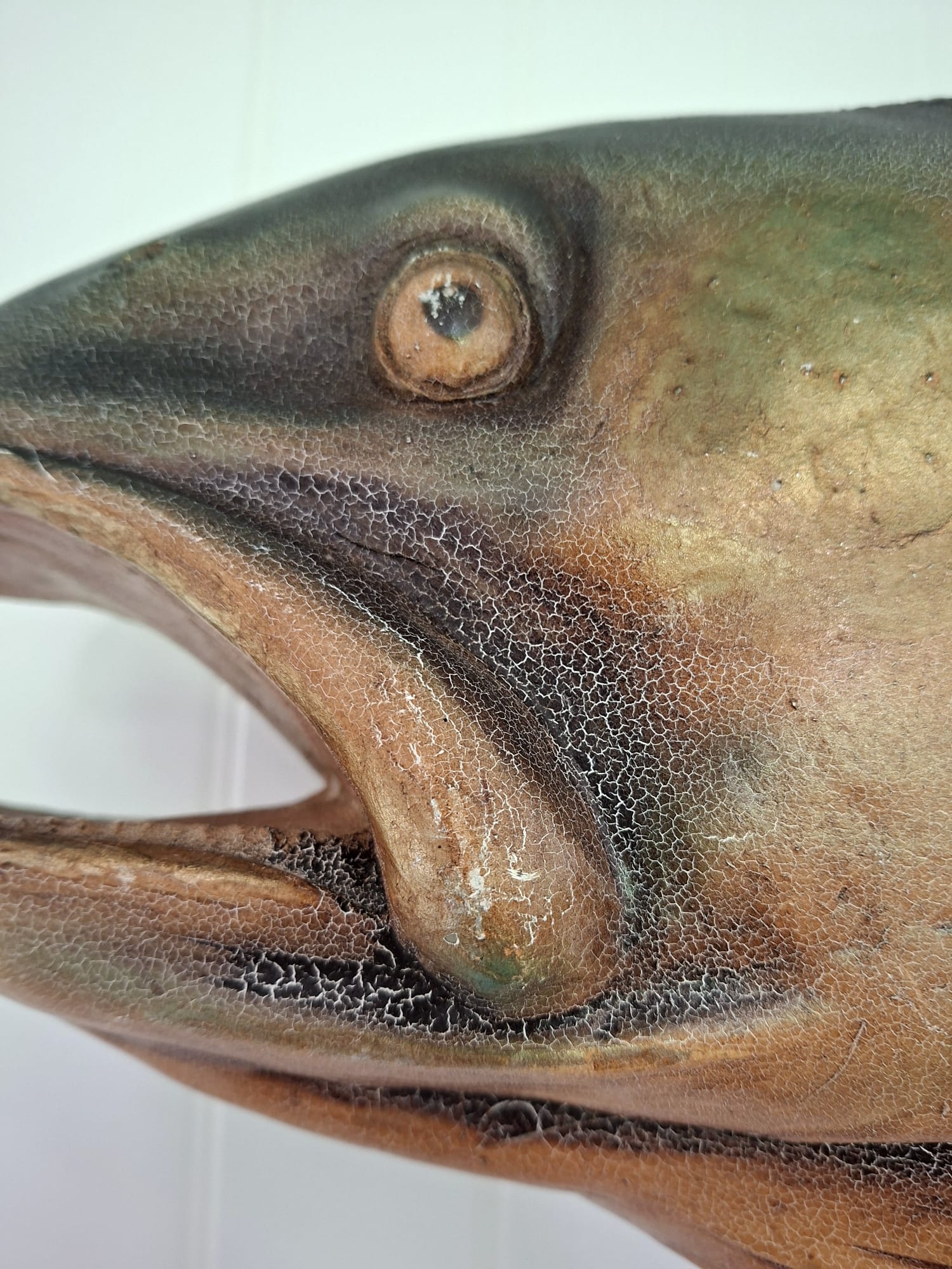large shop advertising Salmon (8)